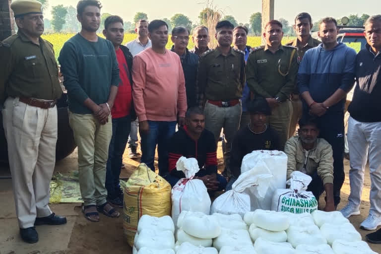 300 kg adulterated paneer destroyed in Karauli, 3 accused arrested