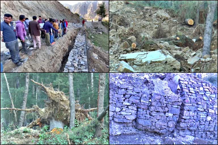 People protest on deodar trees cutting in Chaupal