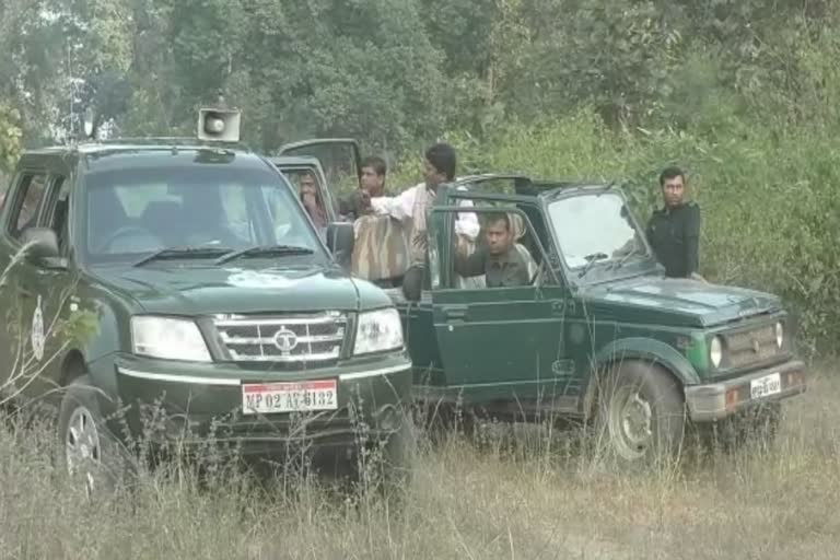 Bandhavgarh Tiger Reserve