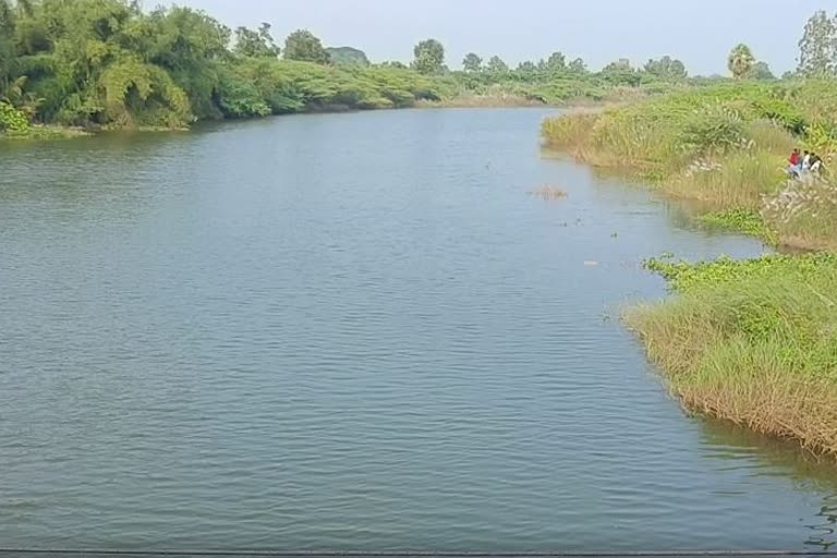 TN: Crocodile dragged youth in Kollidam river, dead body recovered later