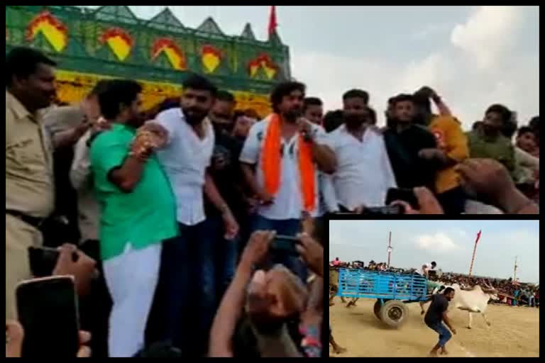 Action prince dhruva sarja came to Hoskote bullock cart race