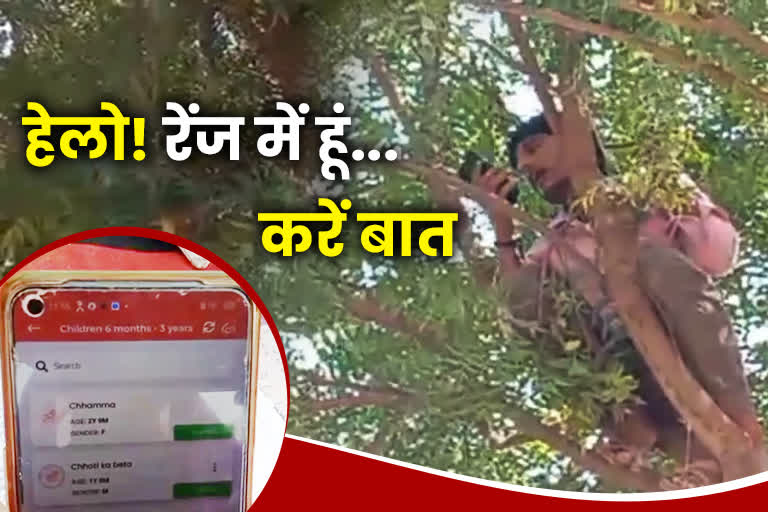 Etv BharatMobile Signal on Tree