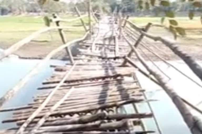 dilapidated Bamboo Bridge