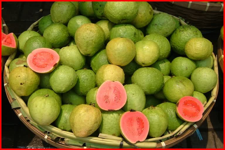 Benefits of eating guava