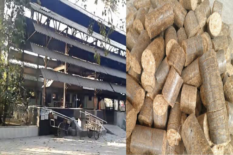 Briquettes biomass