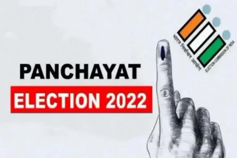 panchayat election results haryana