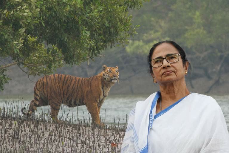 Mamata Banerjee announces Sundarbans as new district in West Bengal