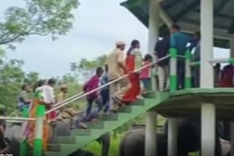 Picnic at Manas National park