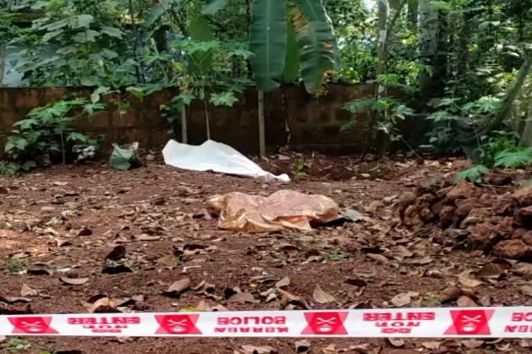 Stray dogs scratched the dead body of a newborn child