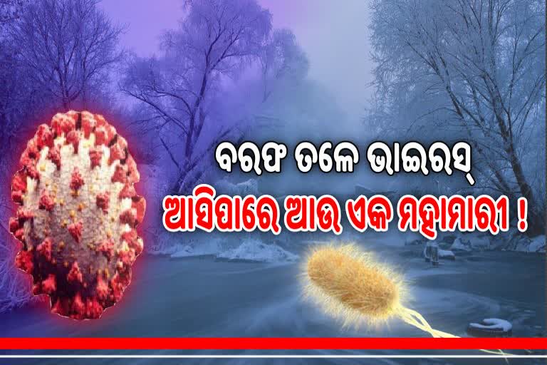 ବରଫ ତଳୁ 48,500 ବର୍ଷର ପ୍ରାଚୀନ ଭୂତାଣୁ ଚିହ୍ନଟ, ଚେତାବନୀ ଦେଲେ ବୈଜ୍ଞାନିକ