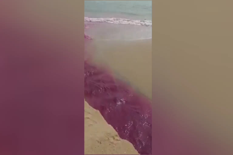 மரக்காணம் அருகே கழிவு நீரால் கடலின் நிறம் மாறும் அபாயம்