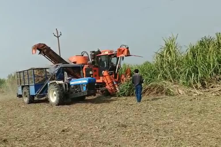 Haryana government should declare rate of sugarcane at Rs 450 per quintal Gurnam Chadhuni