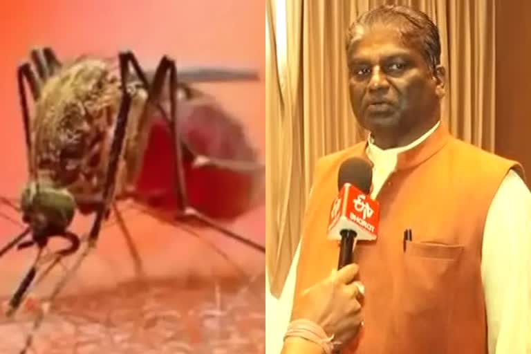 dengue in mp