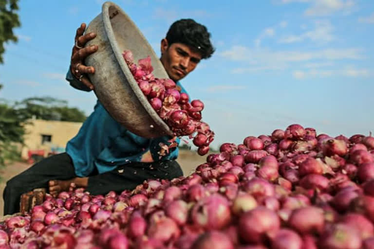 Onion Farmers from Gadag district of Karnataka earning a profit of 8 rupees in Bengaluru market