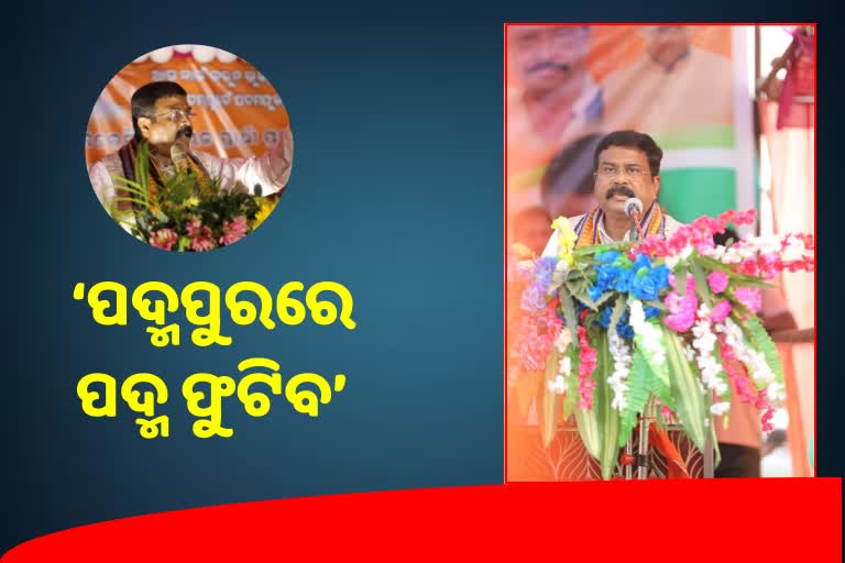 Padmapur By Poll: ପୁଣି ମୁଖ୍ୟମନ୍ତ୍ରୀଙ୍କୁ ଟାର୍ଗେଟ କଲେ ଧର୍ମେନ୍ଦ୍ର