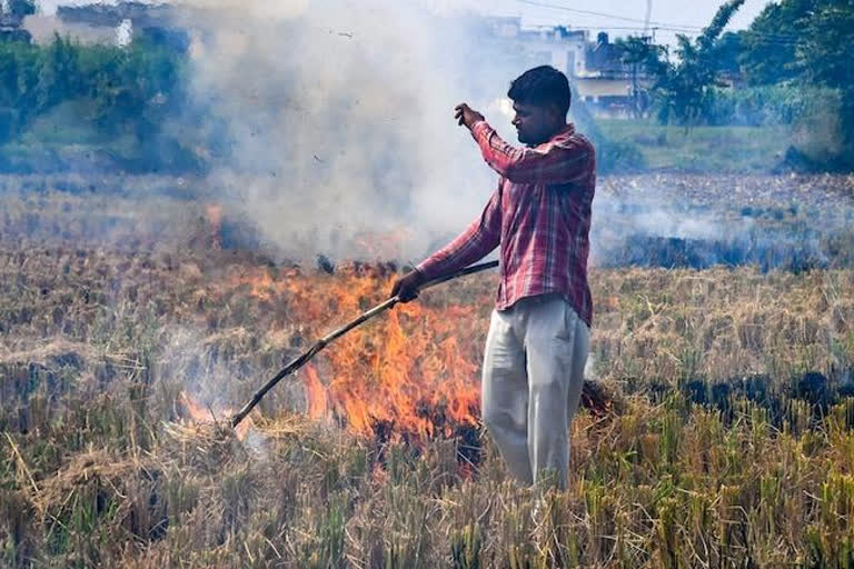 http://10.10.50.70:6060/reg-lowres/30-November-2022/pb-chd-02-stubble-burning-statistics-7211527_30112022175711_3011f_1669811231_782.jpeg