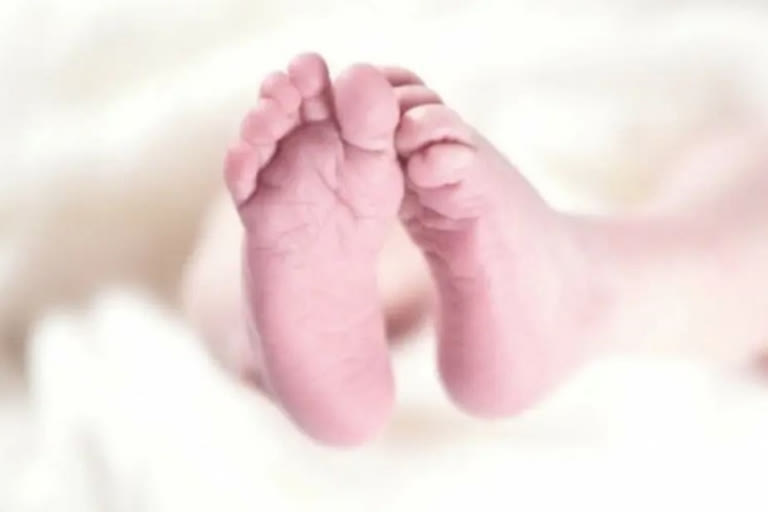 Decomposed body of new born found in Lucknow