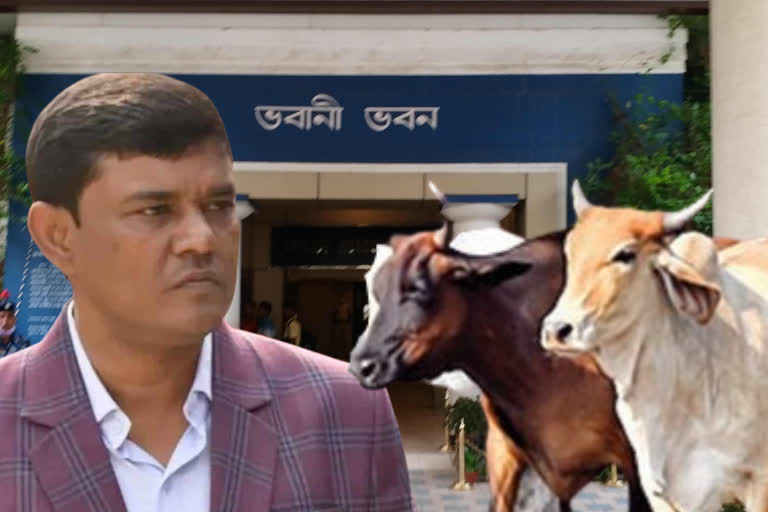 cid-will-interrogate-enamul-haque-in-tihar-jail-on-cattle-smuggling-case