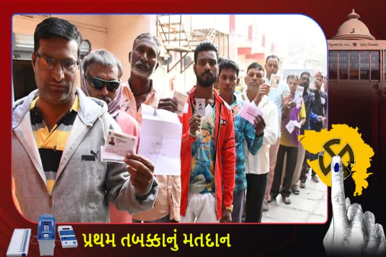 વડોદરામાં 1330 મતદાન મથકો પર મતદાનનું લાઈવ વેબકાસ્ટીંગ કરાશે