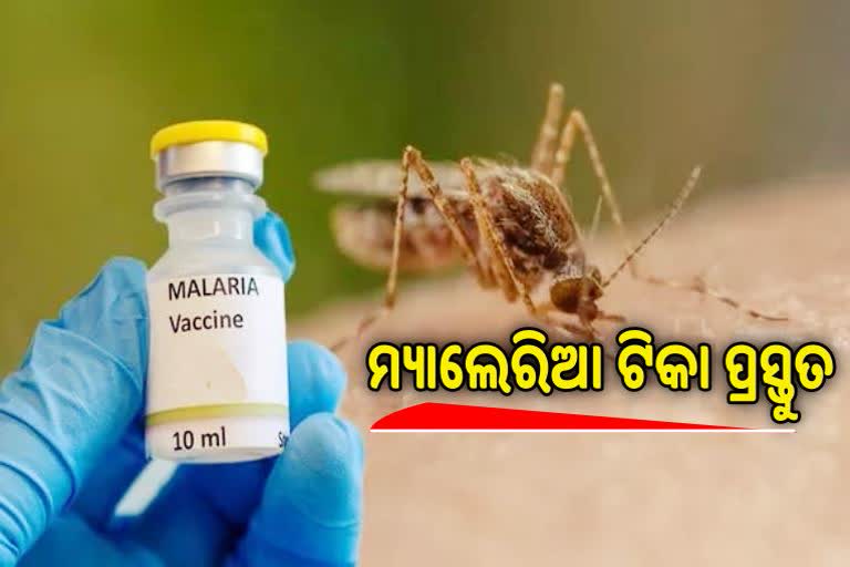 Malaria Vaccine: ଆଉ ଯିବନି ମ୍ୟାଲେରିଆରେ ଜୀବନ ! ଟିକା ପ୍ରସ୍ତୁତ କଲେ ବୈଜ୍ଞାନିକ