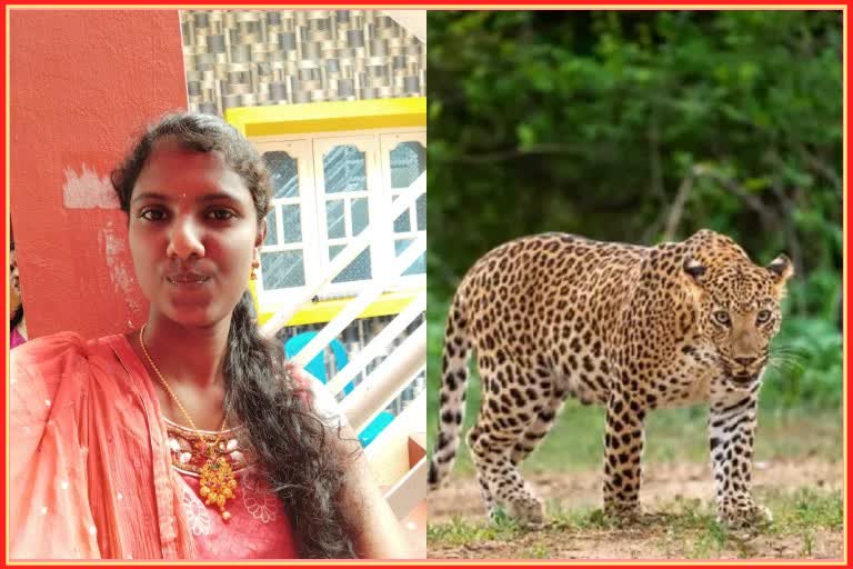 Leopard killed young woman