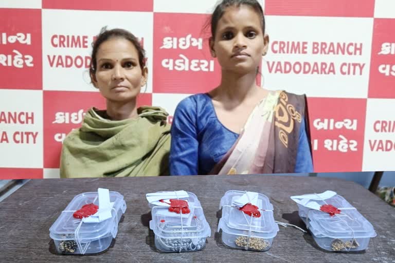 Vadodara Women steal passengers purses