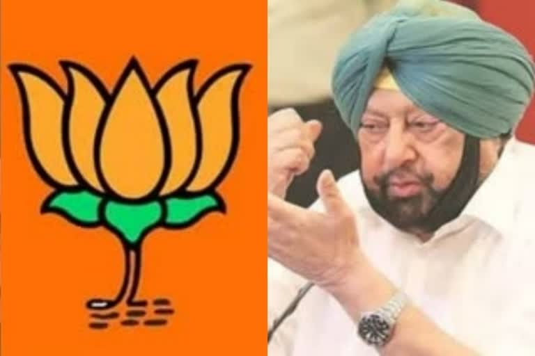 Former Punjab CM Captain Amarinder Singh and former MP Sunil Jakhar appointed as members of the National Executive
