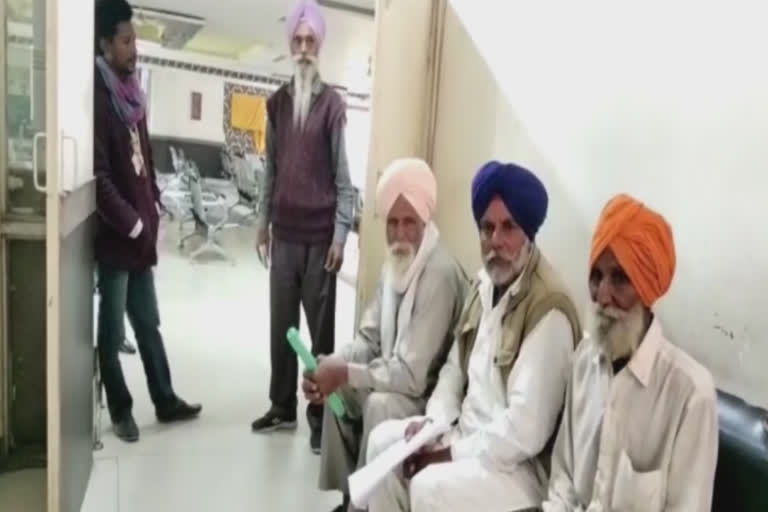 Revenue officials went on strike at Bathinda