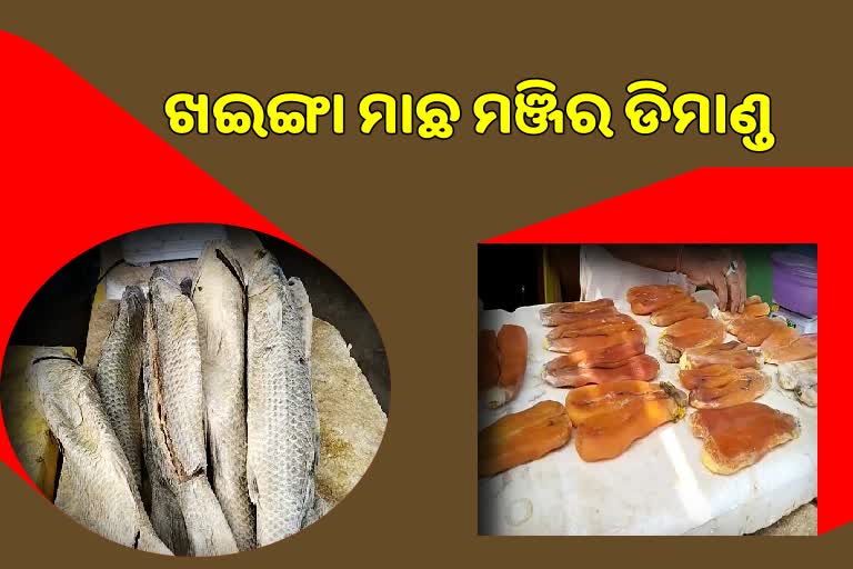 demand of khainga fish seeds in chilika