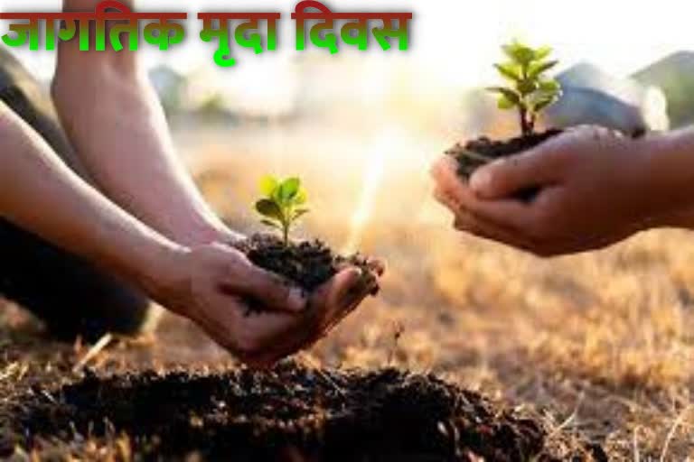 world Soil Day 2022