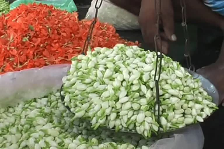 the-price-of-jasmine-has-increased-to-5000-per-kg