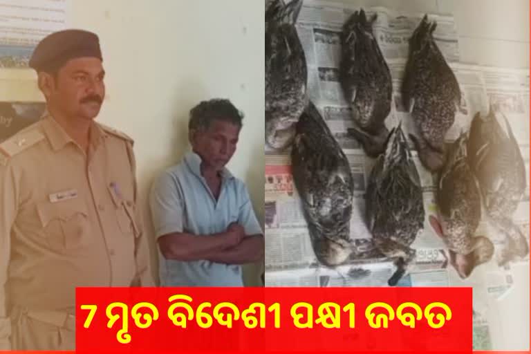 7ମୃତ ବିଦେଶୀ ପକ୍ଷୀ ଜବତ, ପକ୍ଷୀ ଶିକାରୀ ଗିରଫ