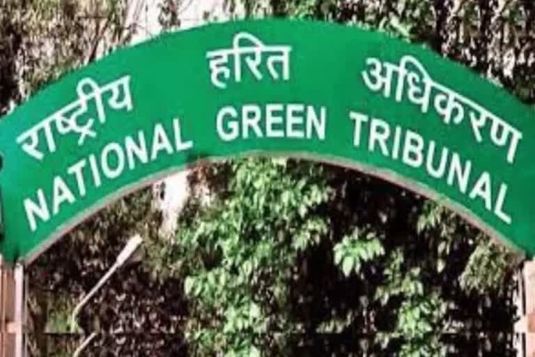 NGT dismisses Karnataka government's plea seeking modification of Rs 500 crore fine order