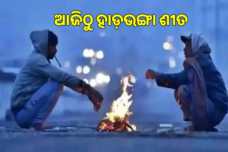 winter cold increasing in odisha