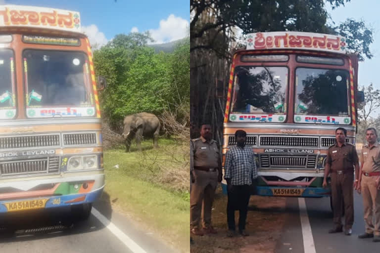 யானைக்கு கரும்பு கொடுத்த லாரி ஓட்டுநருக்கு ரூ.75 ஆயிரம் அபராதம்