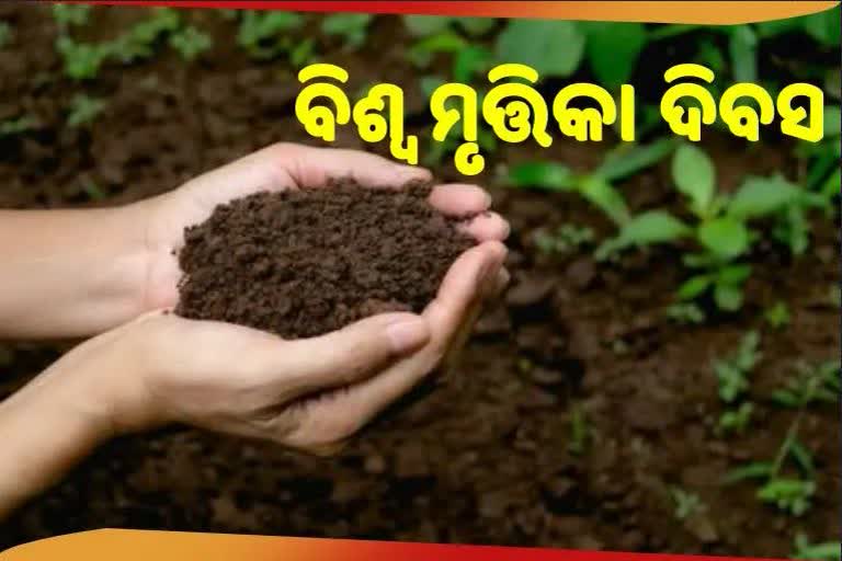 World Soil Day