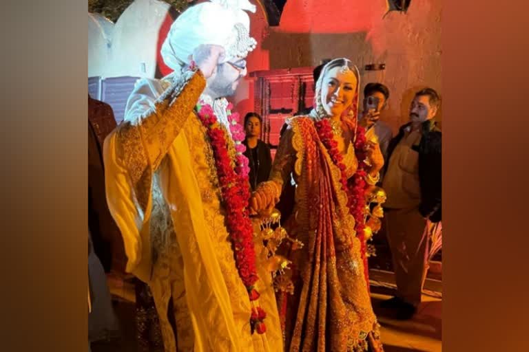 hansika motwani wedding celebrations