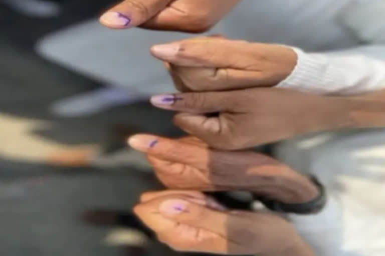 Voting in Rajasthans Sardarshahar