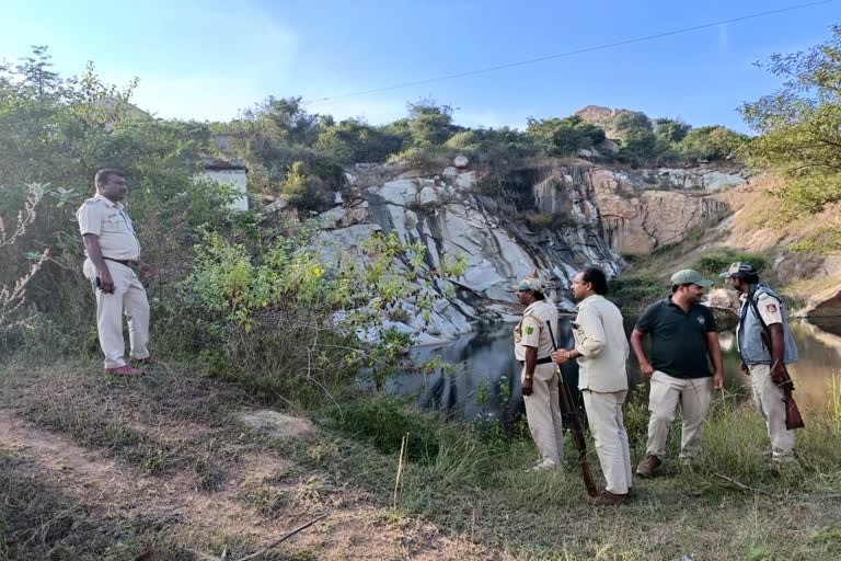 Operation to Catch Leopard in Mysore