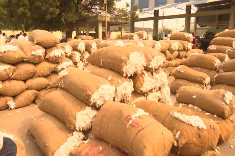 Reopening of Khammam cotton market