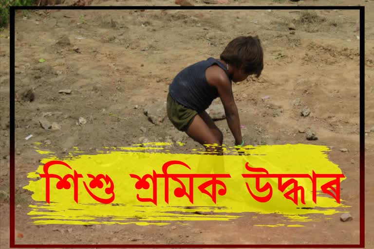 Assam tea tribe students union rescued Child labour in jorhat