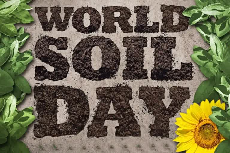 World Soil Day 2022