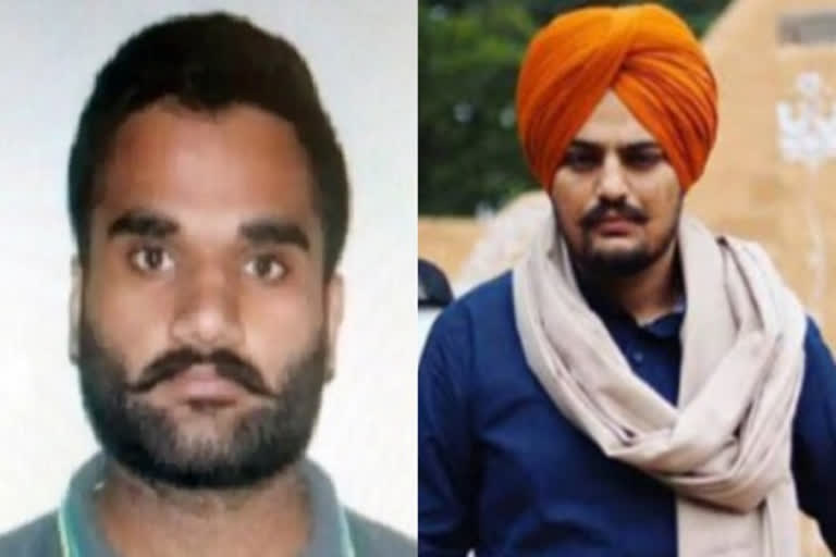 Sidhu Moosewala murder mastermind Goldy Brar