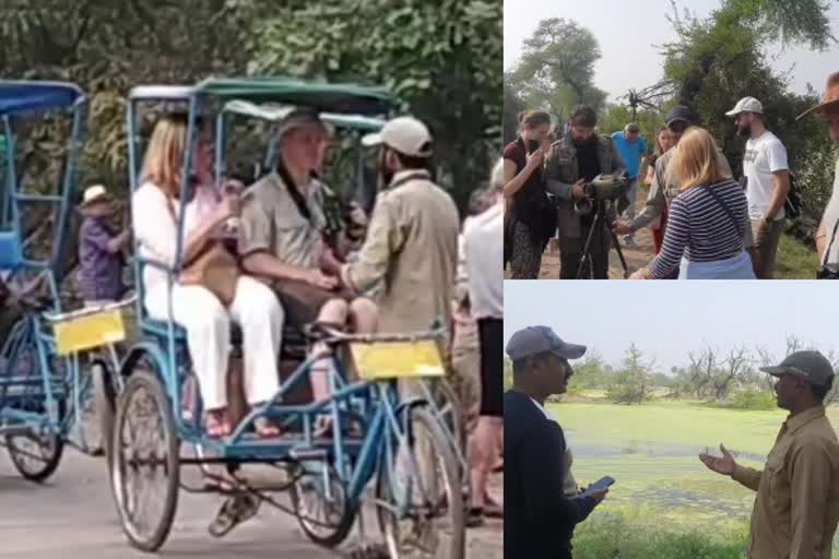 keoladeo national park rickshaw pullers