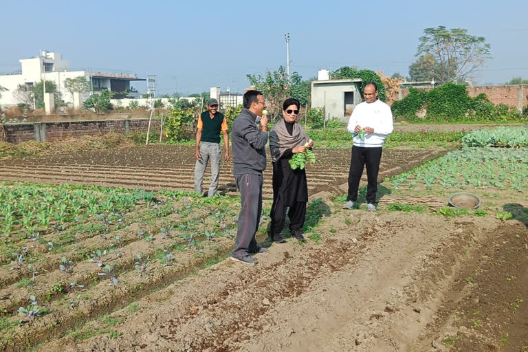 Organic farming in Ludhiana district
