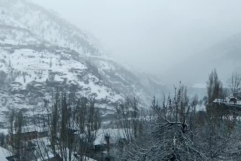 Himachal weather update