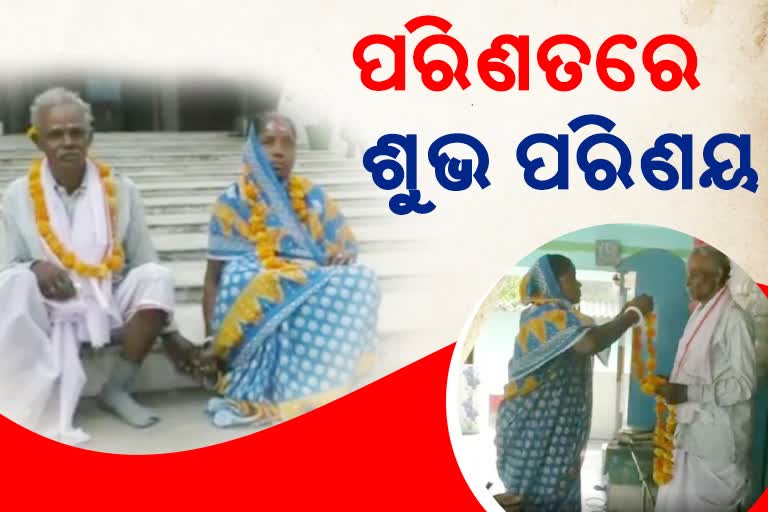 ଧାନ ବିଲରୁ ପ୍ରେମ: ସାତଜନ୍ମର ସାଥୀ ହେଲେ ବୃଦ୍ଧ-ବୃଦ୍ଧା