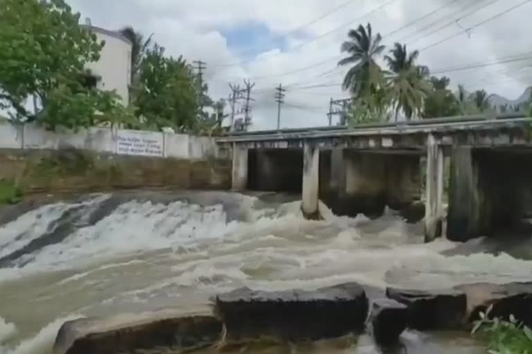 குமரி மாவட்ட அணைகளில் உபரி நீர் திறப்பு - திற்பரப்பு அருவியில் தொடரும் தடை!