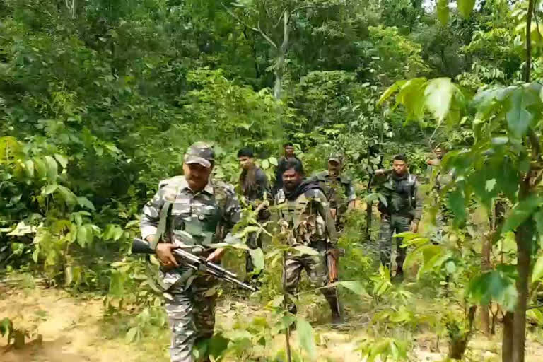 Naxalites can make shelter in Bulbul Jungle