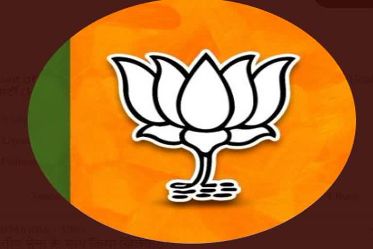 BJP ahead Gujarat assembly elections